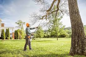 Best Hazardous Tree Removal  in Ocilla, GA