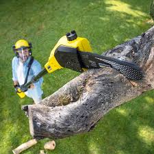 Lawn Watering Services in Ocilla, GA