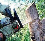 Best Leaf Removal  in Ocilla, GA