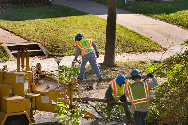 Best Seasonal Cleanup (Spring/Fall)  in Ocilla, GA