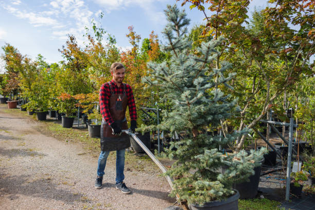 Best Lawn Watering Services  in Ocilla, GA